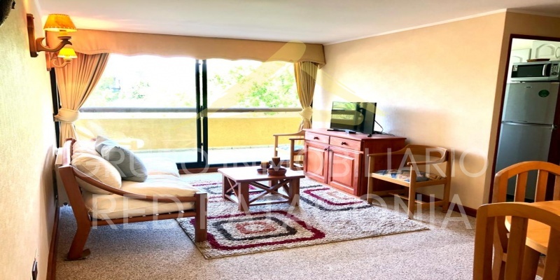 586, Palguin, Araucanía, 3 Habitaciones Habitaciones, ,2 BathroomsBathrooms,Departamento,Venta,1101