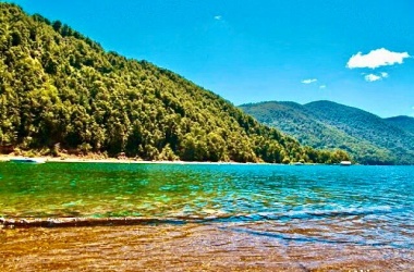 586, Palguin, Araucanía, ,Terrenos,Venta,1201