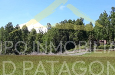 Desde el Centro de la Parcela 