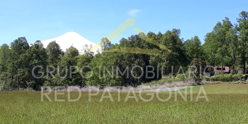 Desde el Centro de la Parcela 