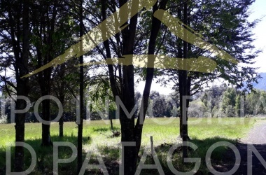4, Segunda Faja, Araucanía, ,Parcela,Venta,1020