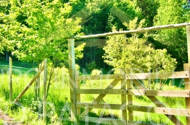 586, Palguin, Araucanía, ,Parcela,Venta,1275