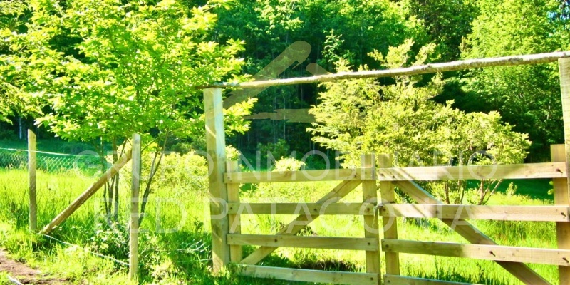 586, Palguin, Araucanía, ,Parcela,Venta,1275