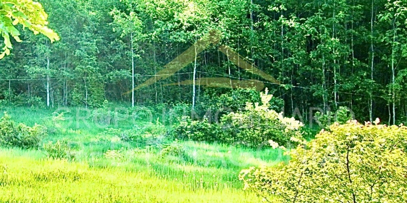 586, Palguin, Araucanía, ,Parcela,Venta,1275