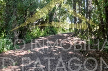 LINCOYAN 336, Araucanía, ,Parcela,Venta,LINCOYAN 336,1301