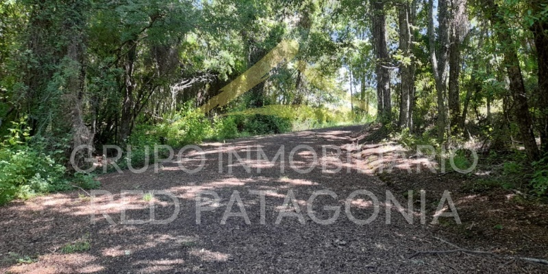 LINCOYAN 336, Araucanía, ,Parcela,Venta,LINCOYAN 336,1301