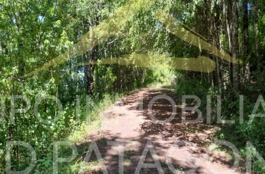 LINCOYAN 336, Araucanía, ,Parcela,Venta,LINCOYAN 336,1301