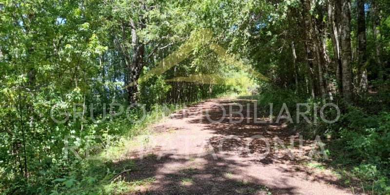 LINCOYAN 336, Araucanía, ,Parcela,Venta,LINCOYAN 336,1301