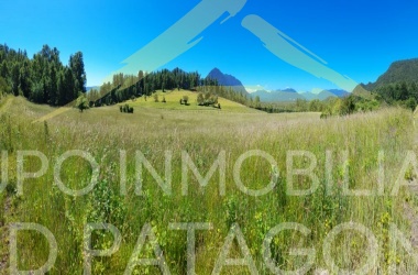 LINCOYAN 336, Araucanía, ,Parcela,Venta,LINCOYAN 336,1301