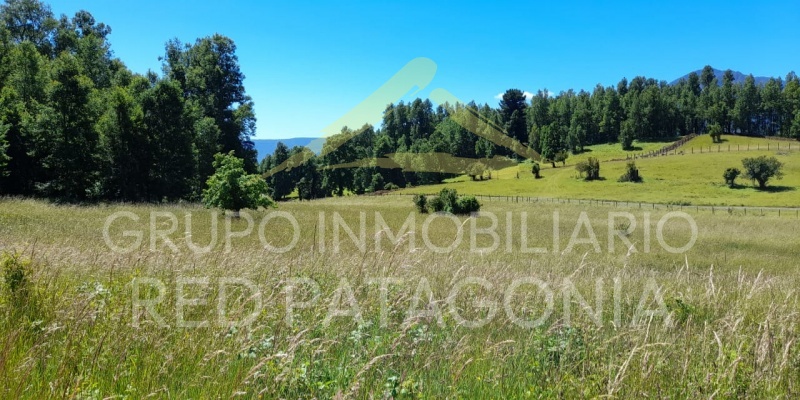 LINCOYAN 336, Araucanía, ,Parcela,Venta,LINCOYAN 336,1301