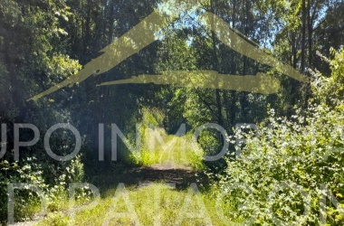 LINCOYAN 336, Araucanía, ,Parcela,Venta,LINCOYAN 336,1301