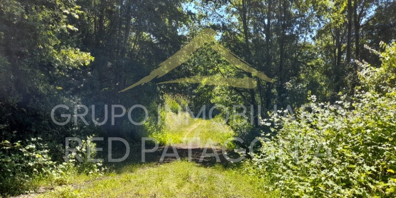 LINCOYAN 336, Araucanía, ,Parcela,Venta,LINCOYAN 336,1301