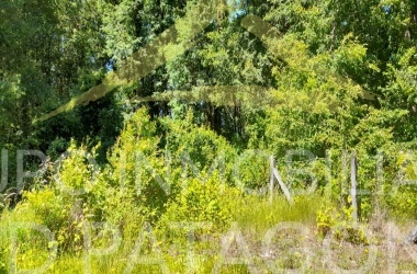 LINCOYAN 336, Araucanía, ,Parcela,Venta,LINCOYAN 336,1301