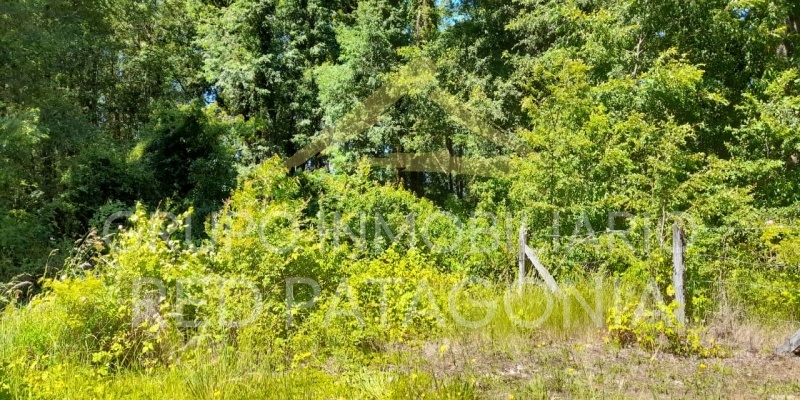 LINCOYAN 336, Araucanía, ,Parcela,Venta,LINCOYAN 336,1301