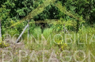 LINCOYAN 336, Araucanía, ,Parcela,Venta,LINCOYAN 336,1301