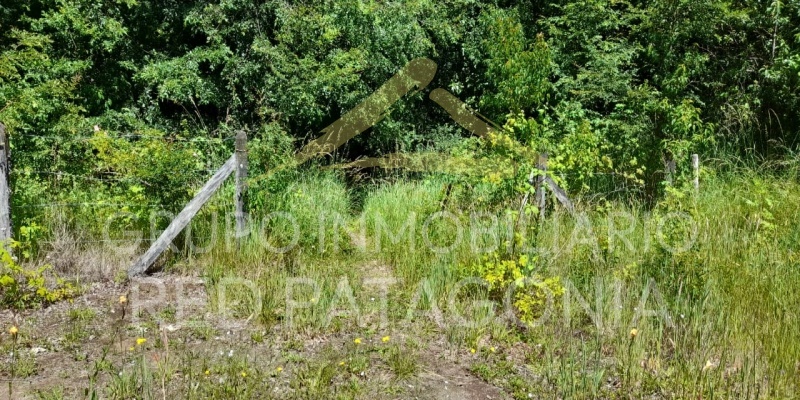 LINCOYAN 336, Araucanía, ,Parcela,Venta,LINCOYAN 336,1301