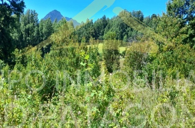 LINCOYAN 336, Araucanía, ,Parcela,Venta,LINCOYAN 336,1301