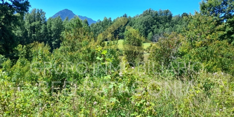 LINCOYAN 336, Araucanía, ,Parcela,Venta,LINCOYAN 336,1301