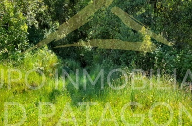 LINCOYAN 336, Araucanía, ,Parcela,Venta,LINCOYAN 336,1301