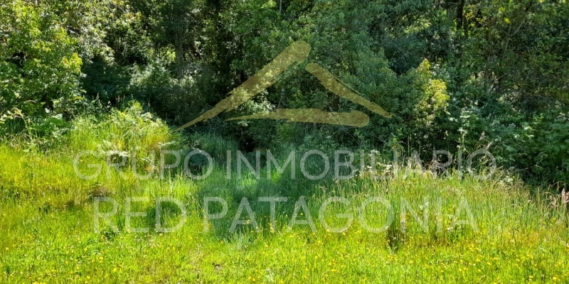 LINCOYAN 336, Araucanía, ,Parcela,Venta,LINCOYAN 336,1301