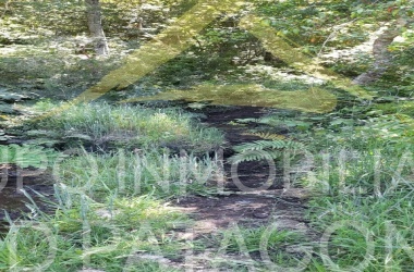 LINCOYAN 336, Araucanía, ,Parcela,Venta,LINCOYAN 336,1301