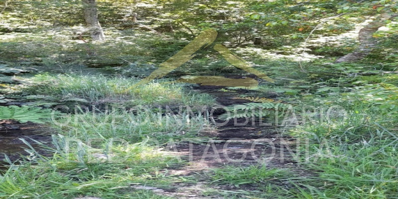 LINCOYAN 336, Araucanía, ,Parcela,Venta,LINCOYAN 336,1301