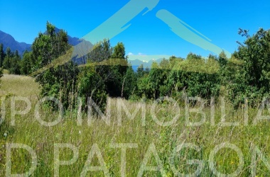 LINCOYAN 336, Araucanía, ,Parcela,Venta,LINCOYAN 336,1301