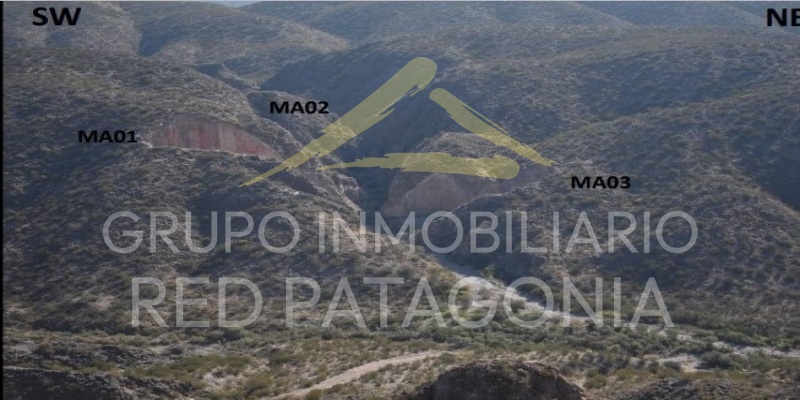 586 Palguin, Palguin, Araucanía 4920000, ,Terrenos,Venta,Palguin,1319