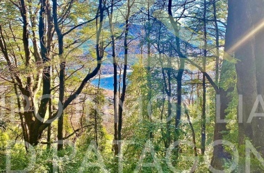 Lincoyan 336, Araucanía, ,Parcela,Venta,1323