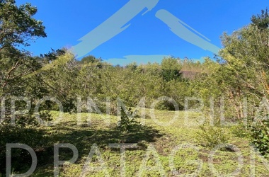 Lincoyan 336, Araucanía, ,Parcela,Venta,1323