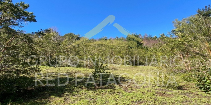 Lincoyan 336, Araucanía, ,Parcela,Venta,1323