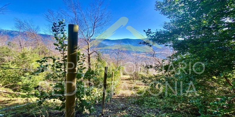 Lincoyan 336, Araucanía, ,Parcela,Venta,1323