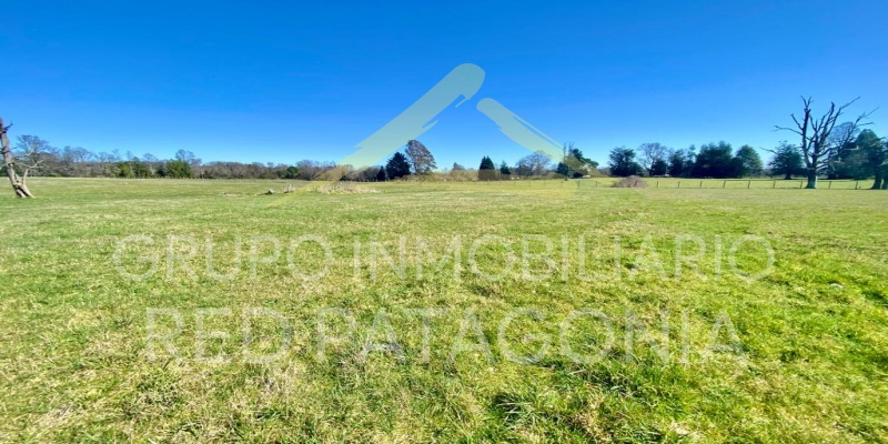 336 Lincoyan, Araucanía, ,Parcela,Venta,Lincoyan,1325