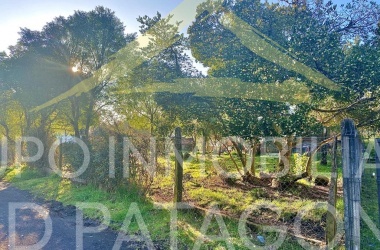 336 Lincoyan, Araucanía 4920000, ,Sitios,Venta,Lincoyan,1327