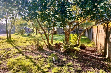 336 Lincoyan, Araucanía 4920000, ,Sitios,Venta,Lincoyan,1327