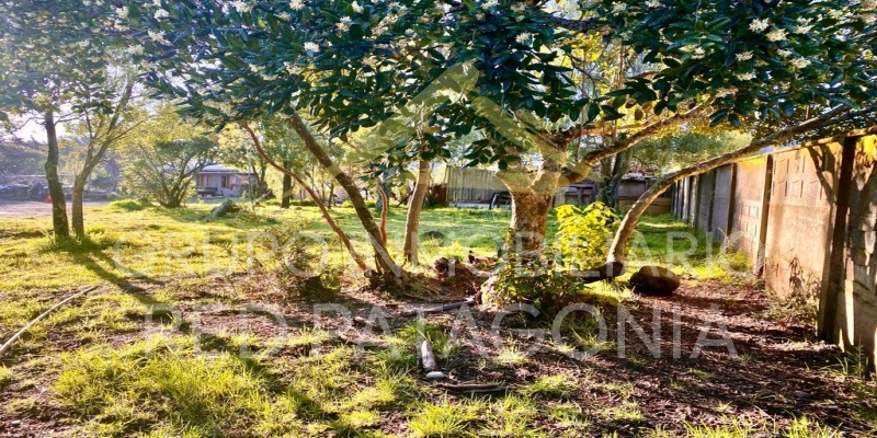 336 Lincoyan, Araucanía 4920000, ,Sitios,Venta,Lincoyan,1327