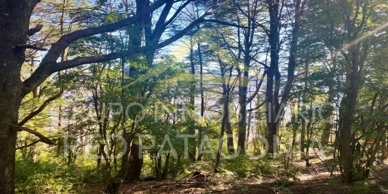 Lincoyan 336, Araucanía, ,Parcela,Venta,1330