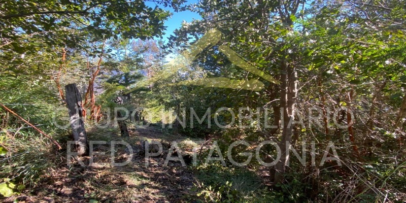 Lincoyan 336, Araucanía, ,Parcela,Venta,1330