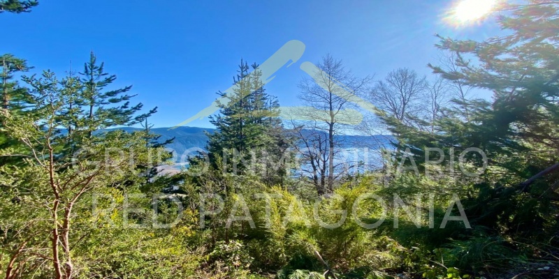 Lincoyan 336, Araucanía, ,Parcela,Venta,1330