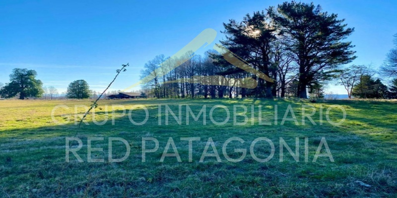 LINCOYAN, Araucanía, ,Parcela,Venta,1337