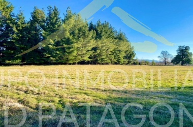 LINCOYAN, Araucanía, ,Parcela,Venta,1337