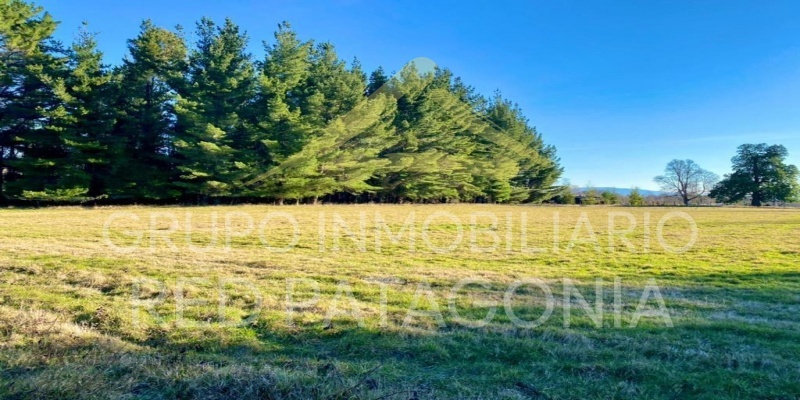 LINCOYAN, Araucanía, ,Parcela,Venta,1337