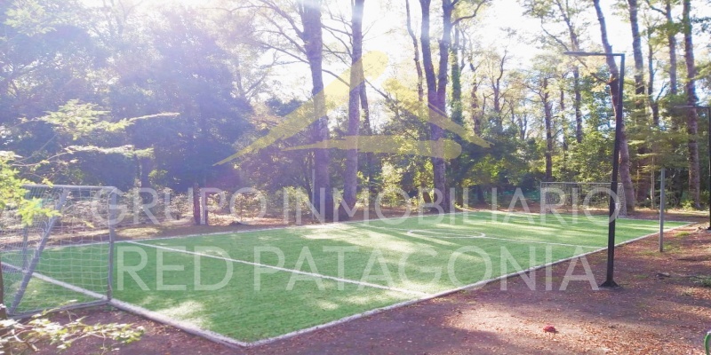 LINCOYAN, Araucanía, 2 Habitaciones Habitaciones, ,2 BathroomsBathrooms,Departamento,Arriendo,1341