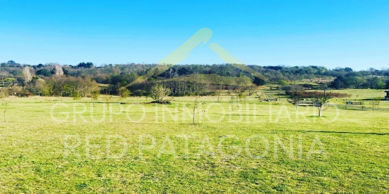 336, LINCOYAN, Araucanía, ,Parcela,Venta,336,1350