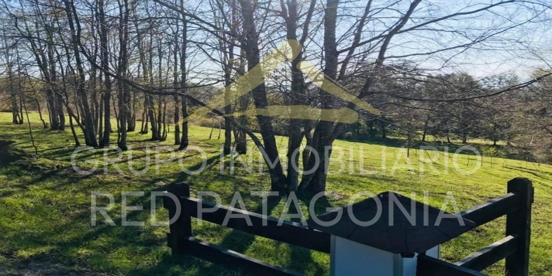 336, LINCOYAN, Araucanía, ,Parcela,Venta,336,1350