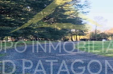 336, LINCOYAN, Araucanía, ,Parcela,Venta,336,1350