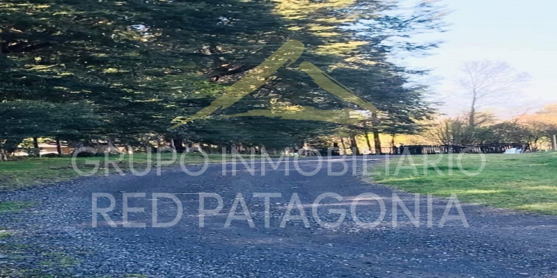 336, LINCOYAN, Araucanía, ,Parcela,Venta,336,1350