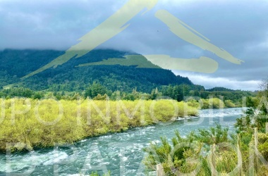 336 Lincoyan, Lincoyan 336, Araucanía, ,Parcela,Venta,Lincoyan,1353