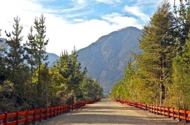 336 Lincoyan, Lincoyan 336, Araucanía, ,Parcela,Venta,Lincoyan,1353