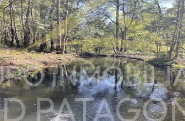 Lincoyan 336, Araucanía, ,Parcela,Venta,1355